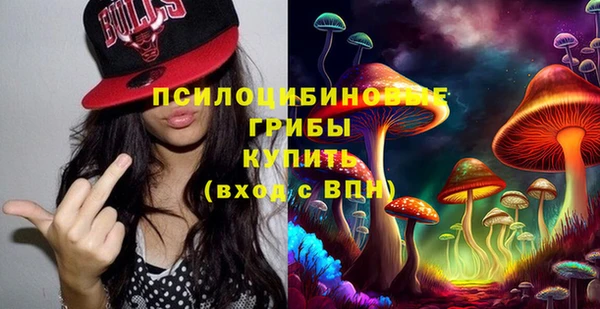 прущие крисы Арсеньев