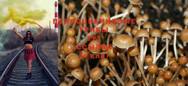 прущие крисы Арсеньев