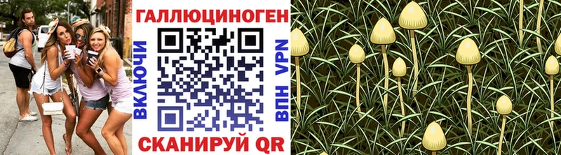 Псилоцибиновые грибы мицелий  Беслан 